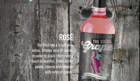 Shelf Talker Rosé